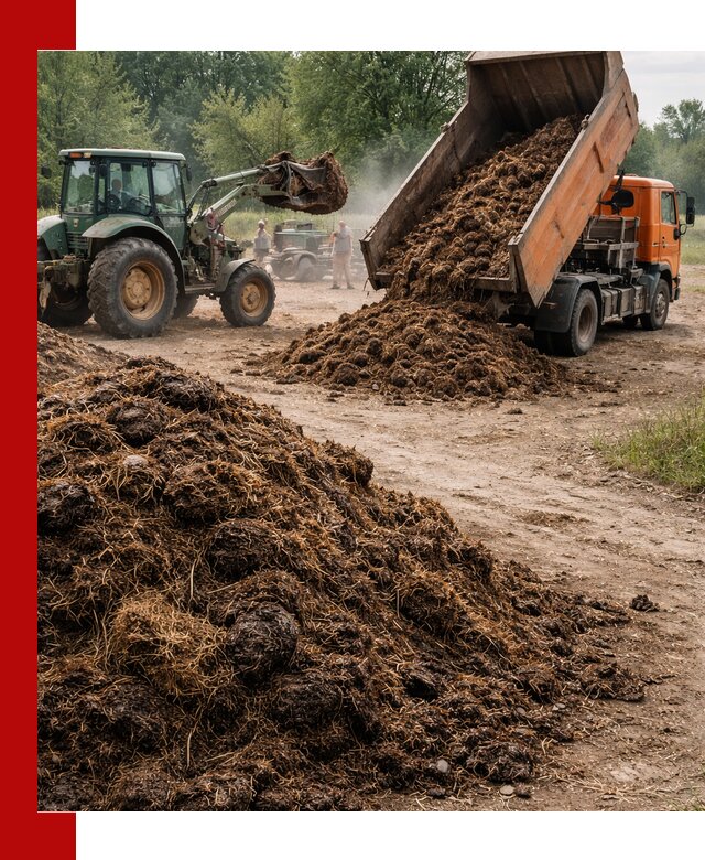Доставка навоза самосвалами в Рузаевке для сельхозпотребностей